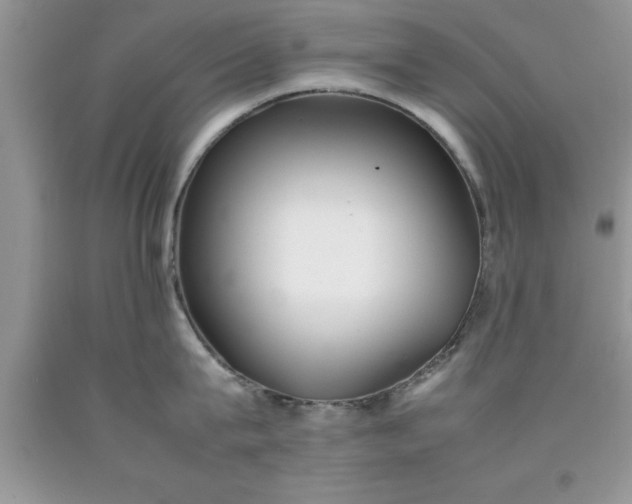 X0000090450815200707272214