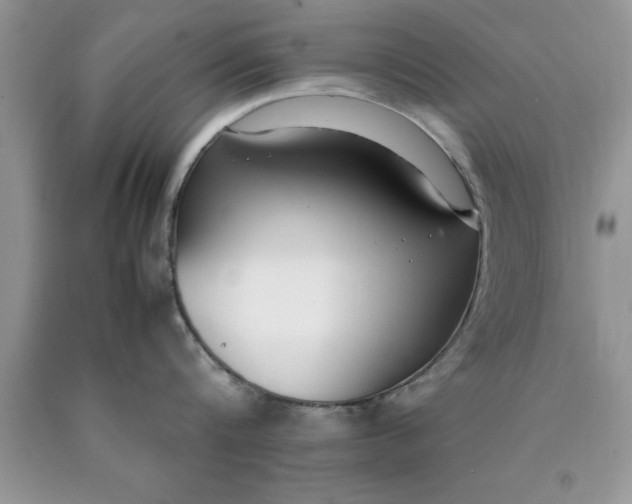 X0000090450816200707272214