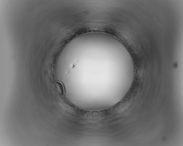 X0000090450817200707272213