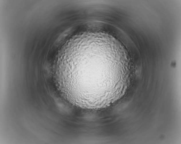 X0000090450819200707272213