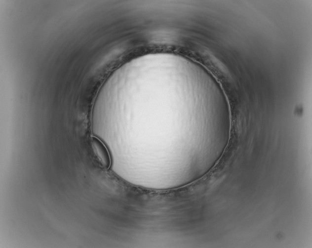 X0000090450821200707272214