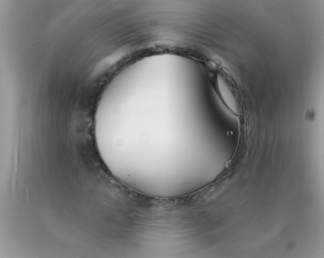 X0000090450822200707272214