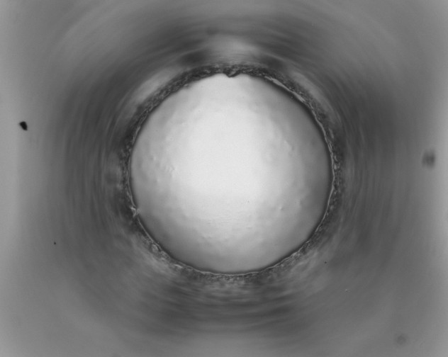 X0000090450823200707272214