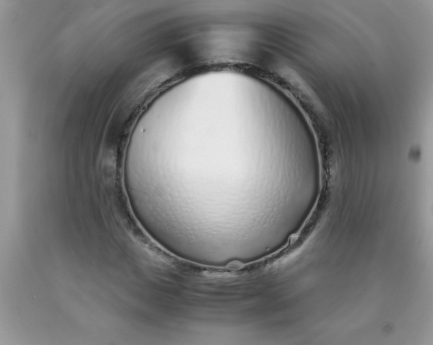 X0000090450825200707272214