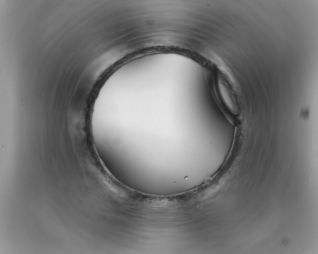 X0000090450826200707272214