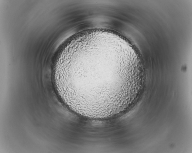 X0000090450827200707272214