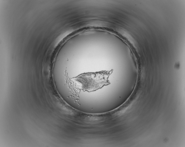 X0000090450829200707272214