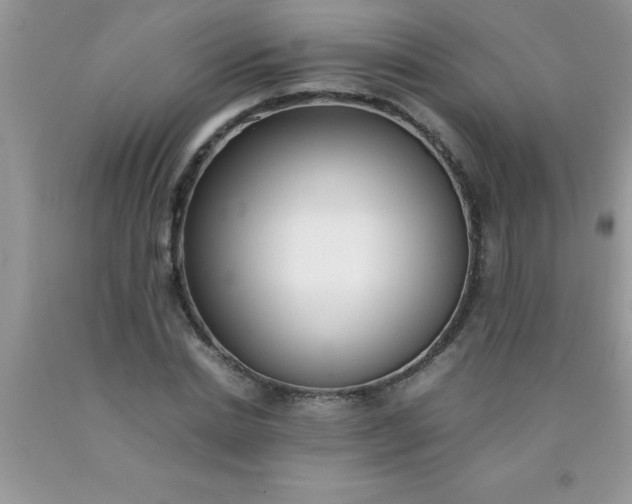 X0000090450830200707272214