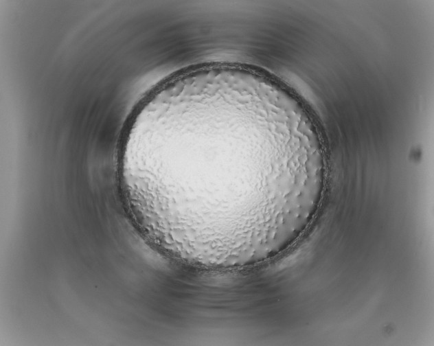 X0000090450831200707272214