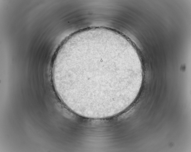 X0000090450832200707272214