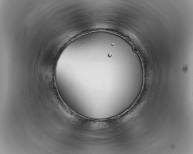 X0000090450833200707272214