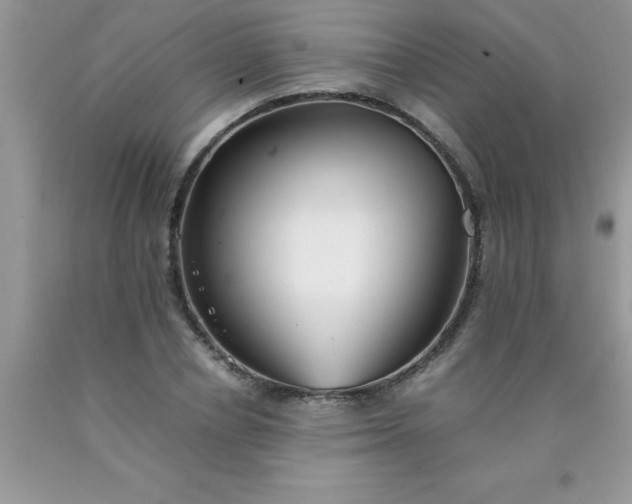 X0000090450834200707272214