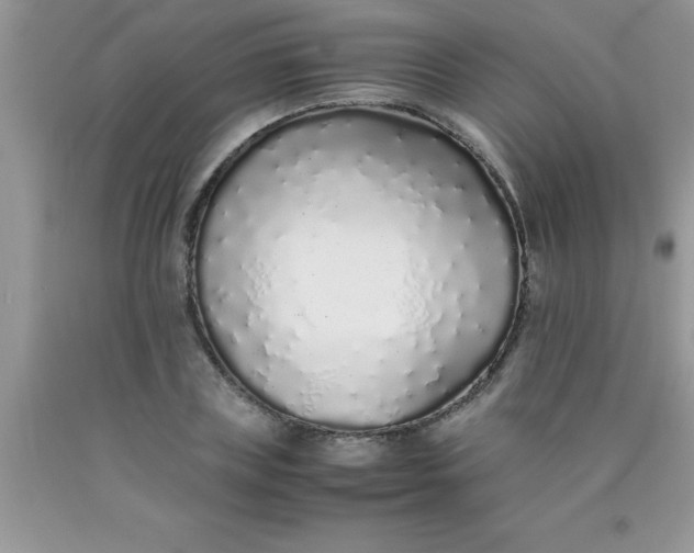 X0000090450835200707272214