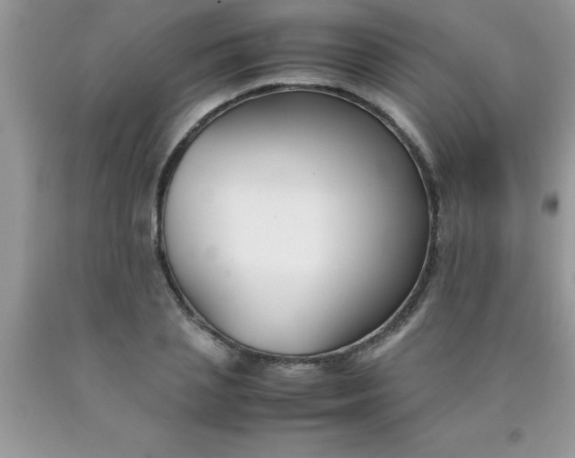 X0000090450837200707272214