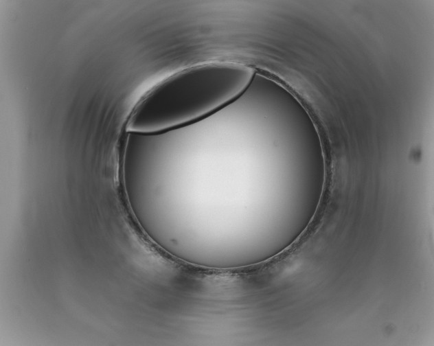 X0000090450838200707272214