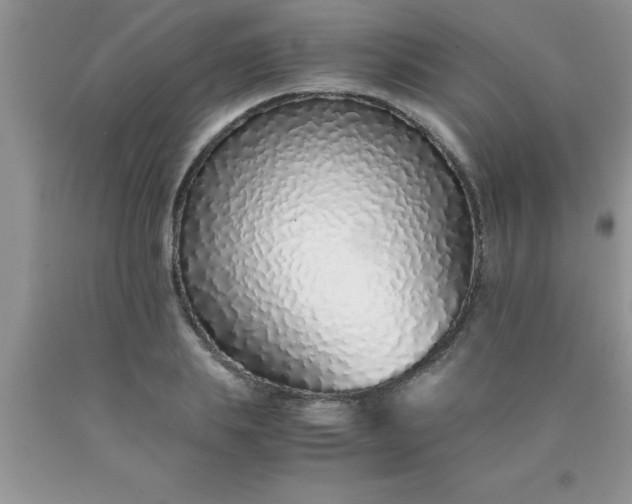 X0000090450839200707272214