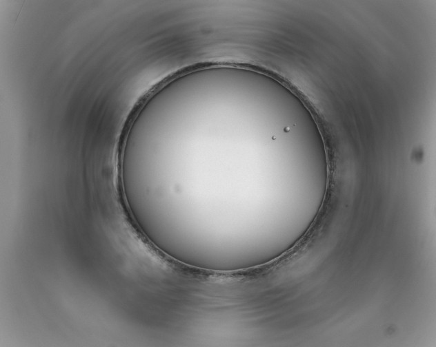 X0000090450840200707272214