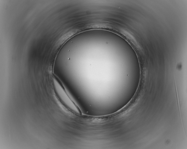 X0000090450841200707272214