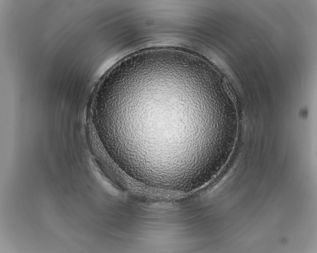 X0000090450842200707272214