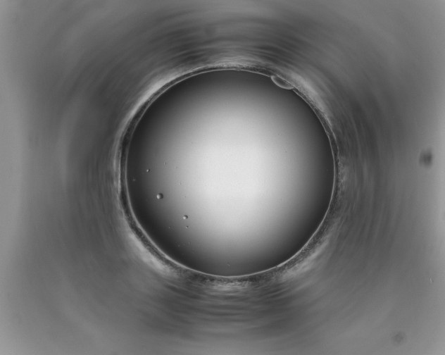 X0000090450843200707272214