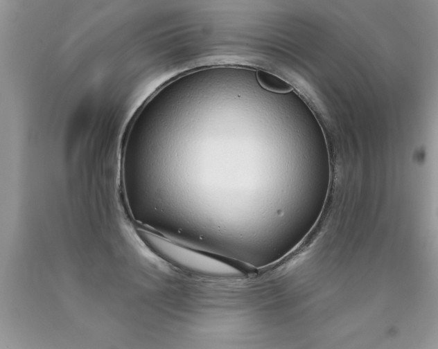 X0000090450844200707272214