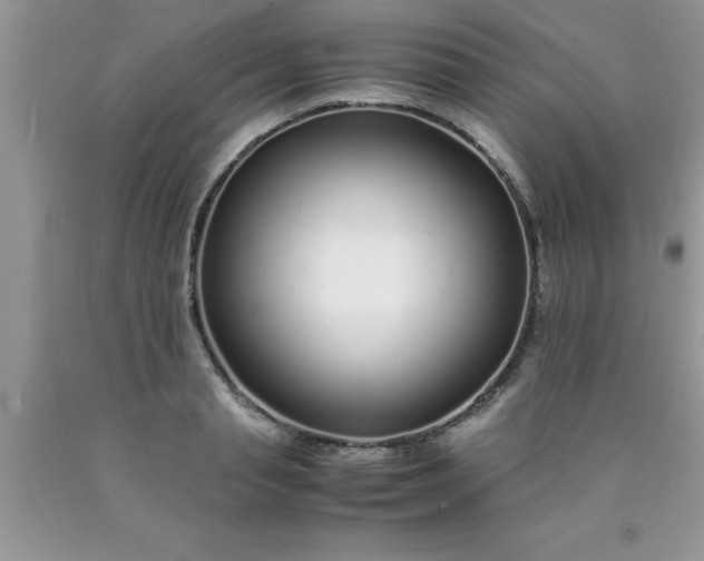 X0000090450845200707272214