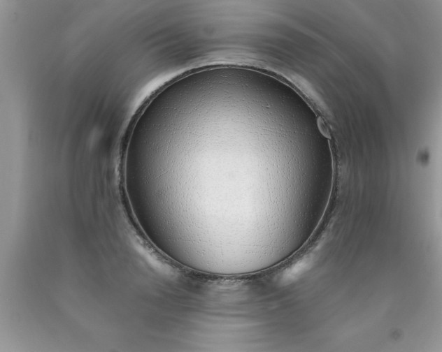 X0000090450846200707272214