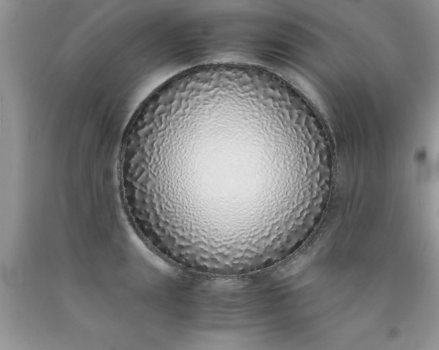 X0000090450847200707272214