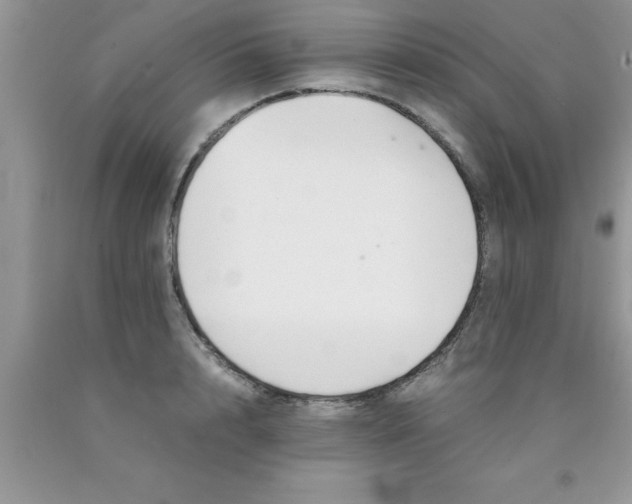 X0000090450848200707272214