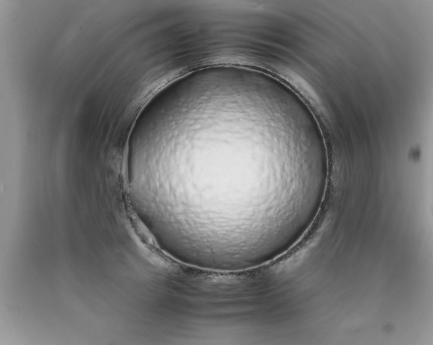 X0000090450849200707272214