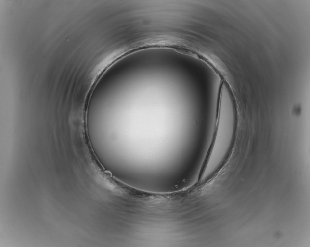 X0000090450850200707272214