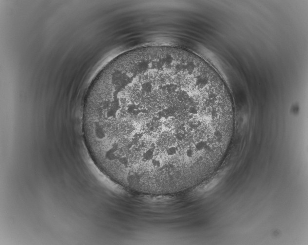 X0000090450851200707272214