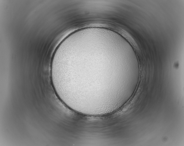 X0000090450852200707272214