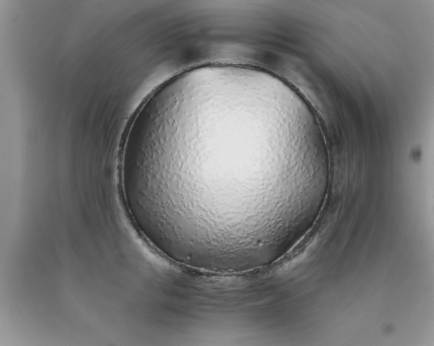 X0000090450853200707272214