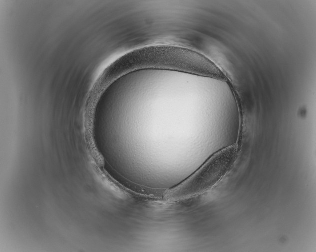 X0000090450854200707272214