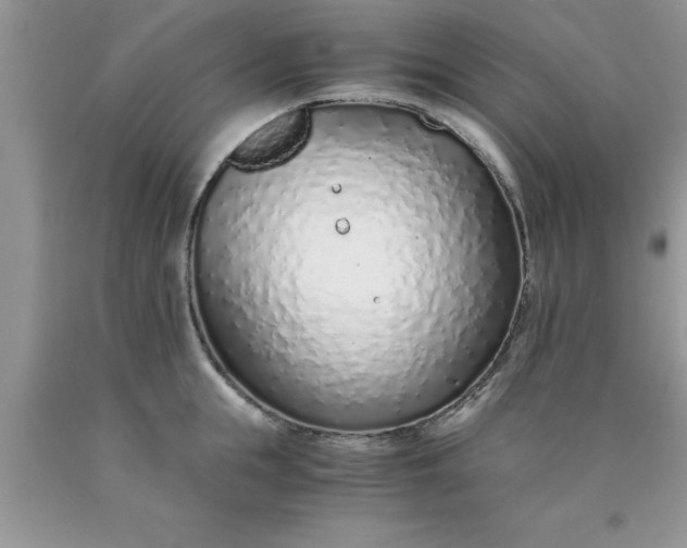 X0000090450855200707272214