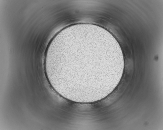 X0000090450856200707272214