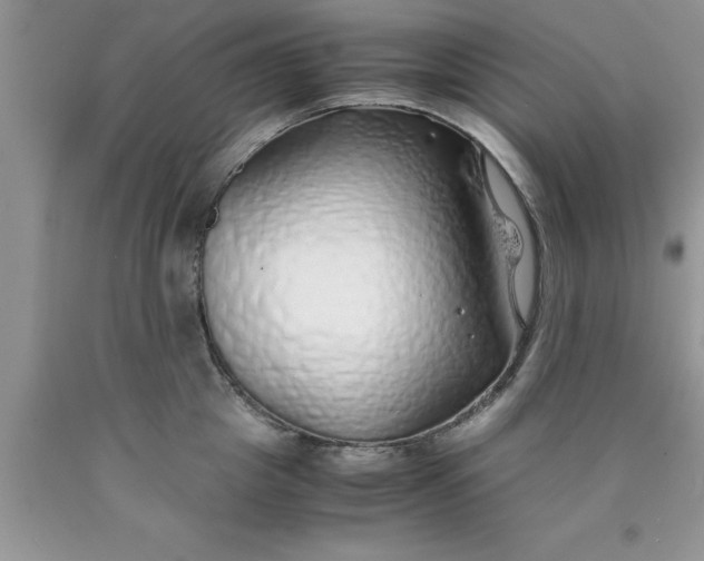 X0000090450857200707272214