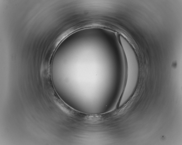 X0000090450858200707272214