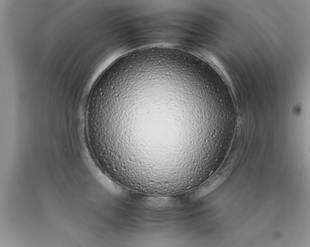 X0000090450859200707272214