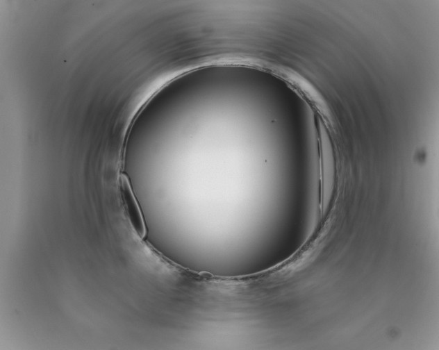 X0000090450860200707272214