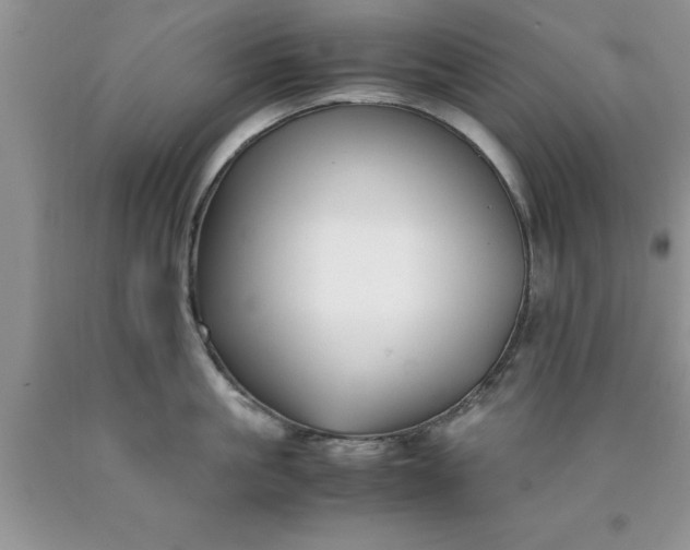 X0000090450861200707272214