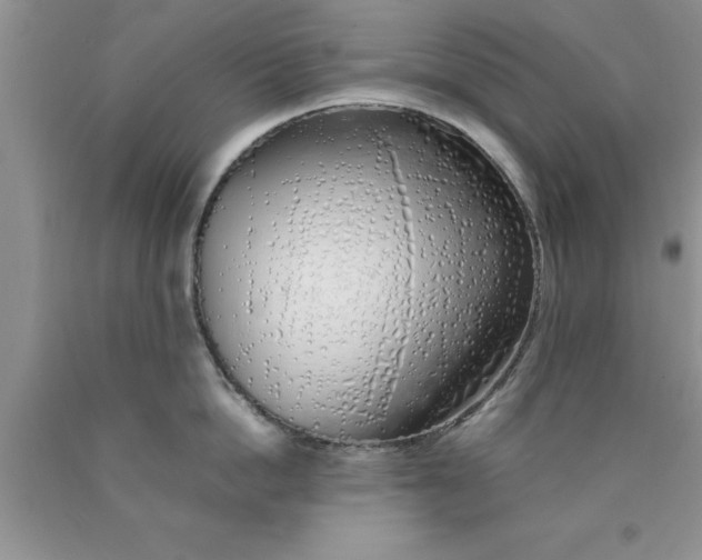 X0000090450862200707272214