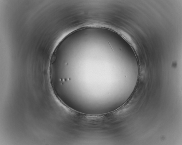 X0000090450863200707272214