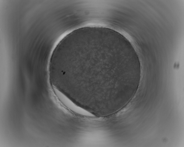 X0000090450864200707272214