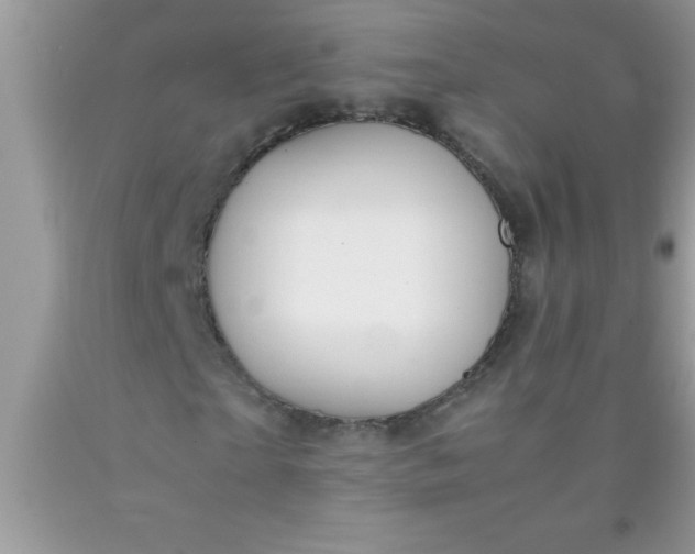 X0000090450865200707272213