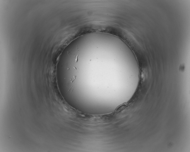 X0000090450867200707272213