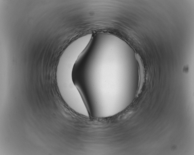 X0000090450868200707272213