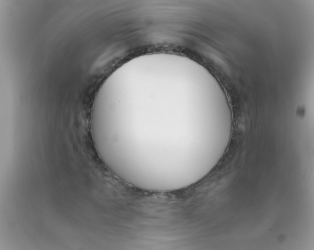 X0000090450869200707272213