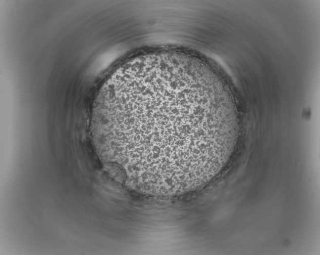 X0000090450871200707272213